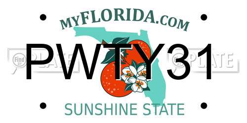 PWTY31 Florida License Plate