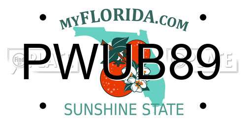 PWUB89 Florida License Plate