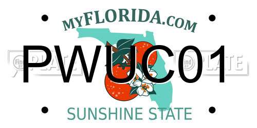 PWUC01 Florida License Plate
