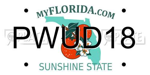 PWUD18 Florida License Plate