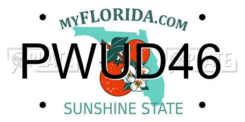 PWUD46 Florida License Plate