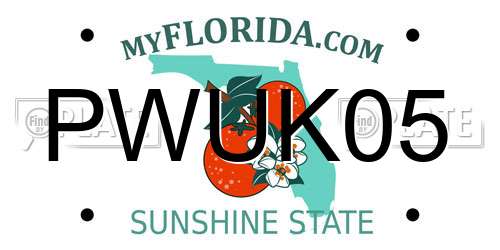 PWUK05 Florida License Plate