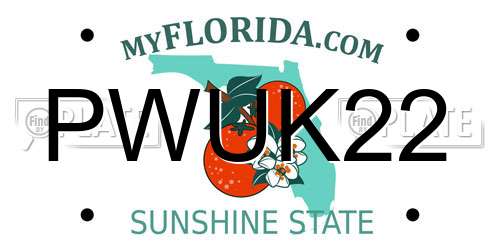 PWUK22 Florida License Plate