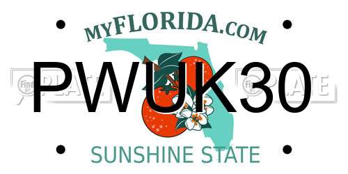 PWUK30 Florida License Plate