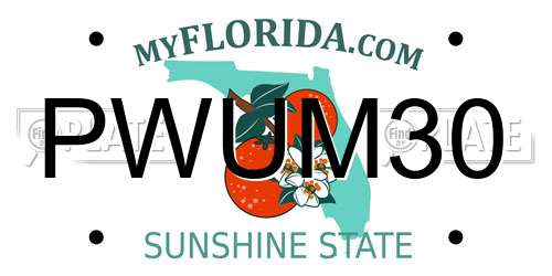 PWUM30 Florida License Plate