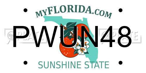 PWUN48 Florida License Plate