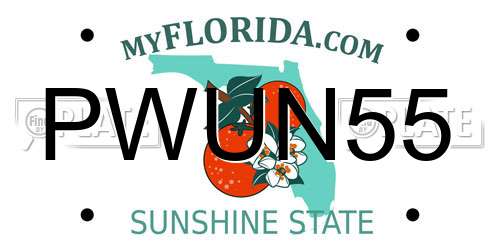 PWUN55 Florida License Plate