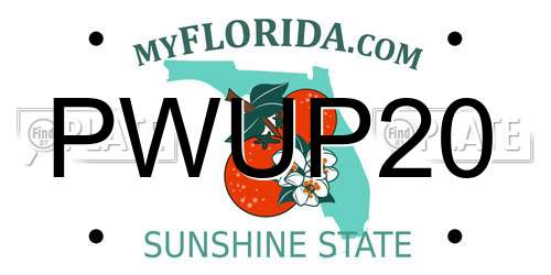 PWUP20 Florida License Plate
