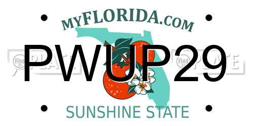 PWUP29 Florida License Plate