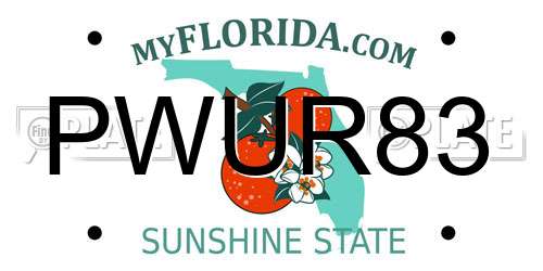 PWUR83 Florida License Plate