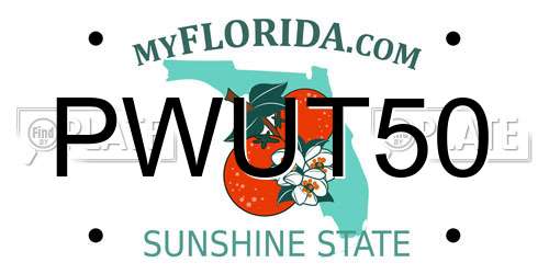 PWUT50 Florida License Plate