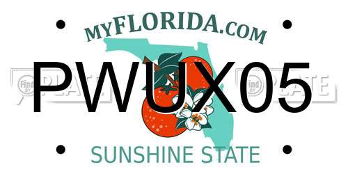 PWUX05 Florida License Plate