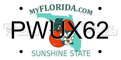 PWUX62 Florida License Plate