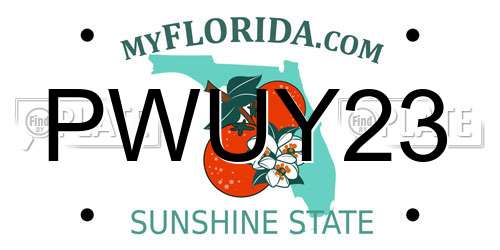 PWUY23 Florida License Plate