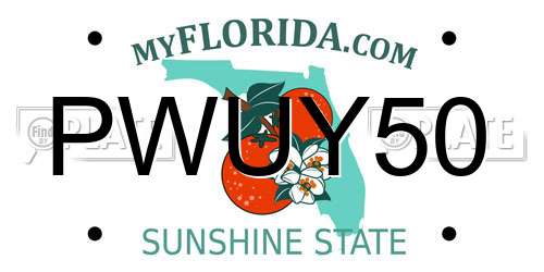 PWUY50 Florida License Plate