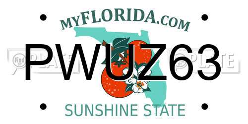 PWUZ63 Florida License Plate