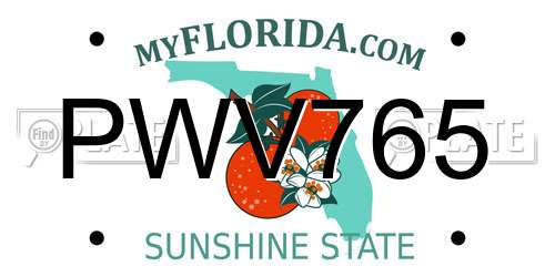 PWV765 Florida License Plate