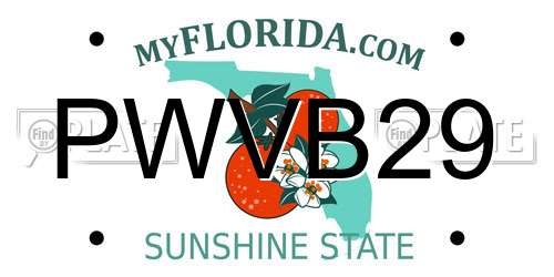 PWVB29 Florida License Plate