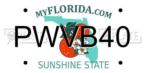 PWVB40 Florida License Plate
