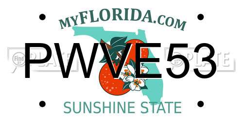 PWVE53 Florida License Plate