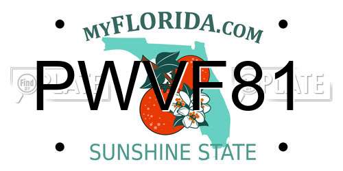 PWVF81 Florida License Plate