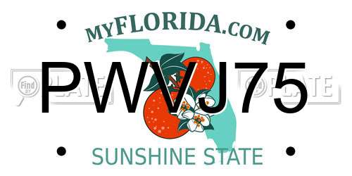 PWVJ75 Florida License Plate