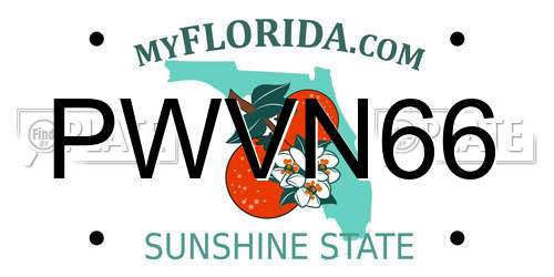 PWVN66 Florida License Plate