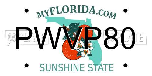 PWVP80 Florida License Plate