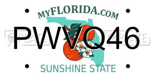 PWVQ46 Florida License Plate