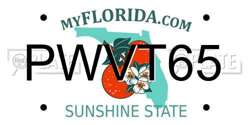 PWVT65 Florida License Plate