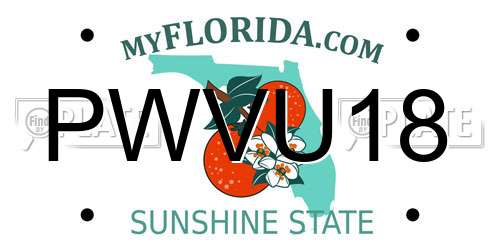 PWVU18 Florida License Plate