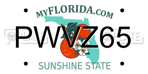 PWVZ65 Florida License Plate