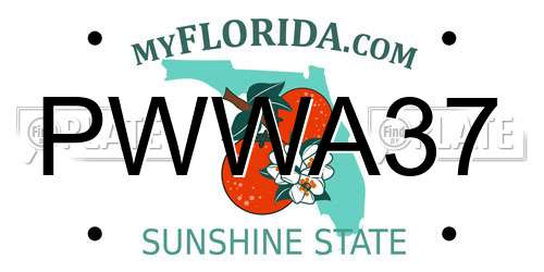 PWWA37 Florida License Plate