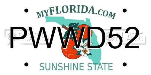 PWWD52 Florida License Plate