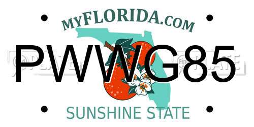 PWWG85 Florida License Plate