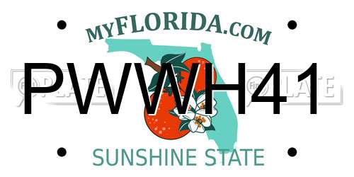 PWWH41 Florida License Plate