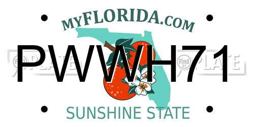 PWWH71 Florida License Plate