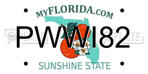 PWWI82 Florida License Plate