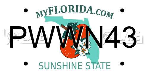 PWWN43 Florida License Plate