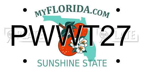 PWWT27 Florida License Plate