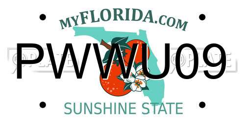 PWWU09 Florida License Plate