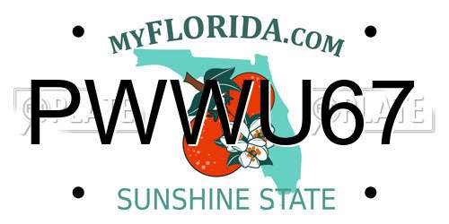 PWWU67 Florida License Plate