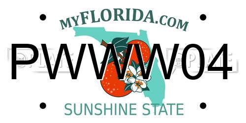 PWWW04 Florida License Plate