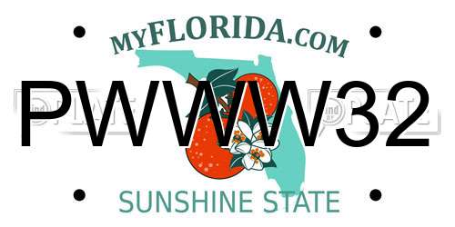 PWWW32 Florida License Plate