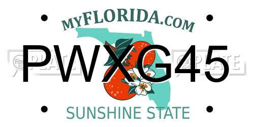 PWXG45 Florida License Plate