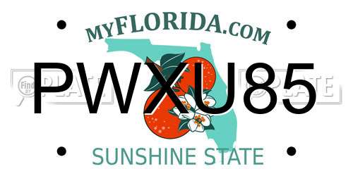 PWXU85 Florida License Plate