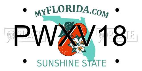 PWXV18 Florida License Plate