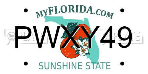 PWXY49 Florida License Plate