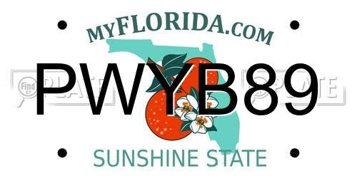 PWYB89 Florida License Plate