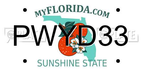 PWYD33 Florida License Plate